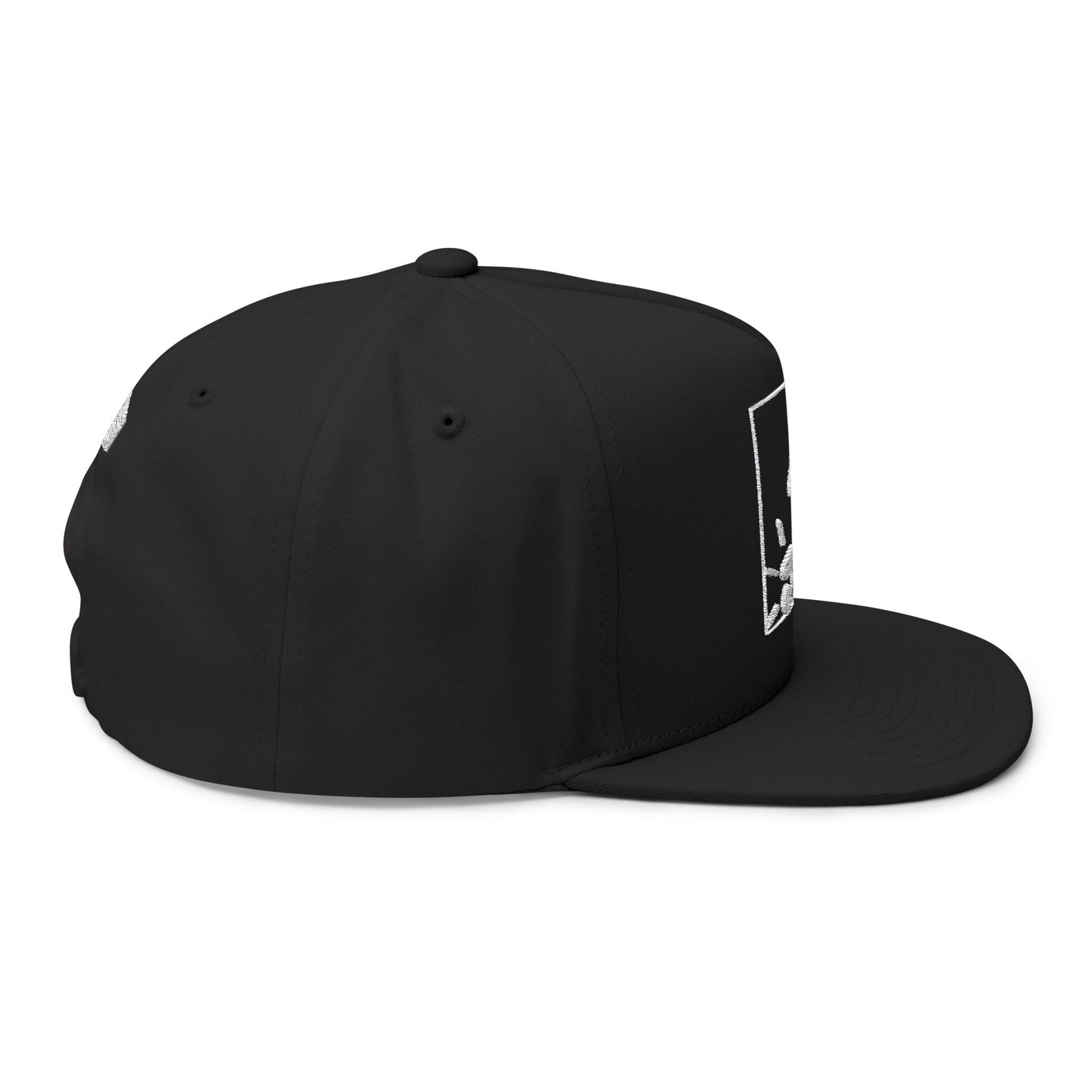 Johnny Law Flat Bill Snapback – WEAREinapinch