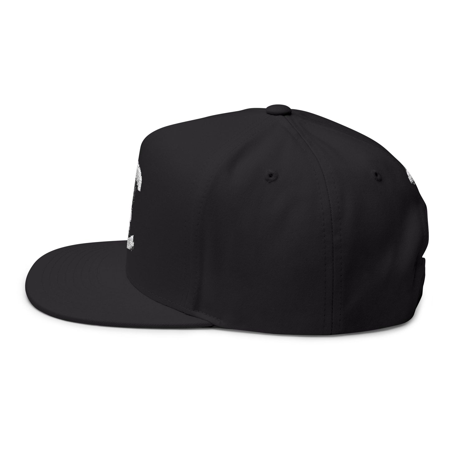 SACSCUM "Us vs. All" Flat Bill Snapback – WEAREinapinch