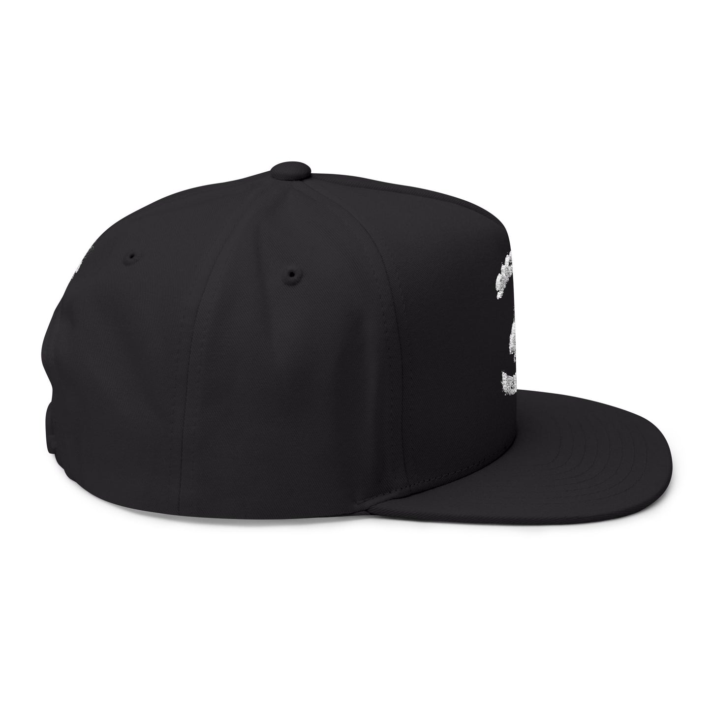 SACSCUM "Us vs. All" Flat Bill Snapback – WEAREinapinch